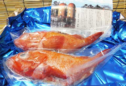 【北海道根室産】キンキ(下ごしらえ済)2尾 B-72002