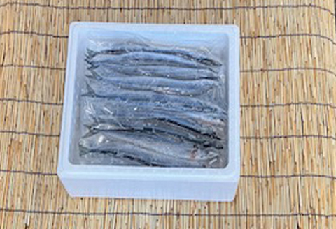 【北海道根室産】冷凍さんま5尾×6P(計30尾) B-76001