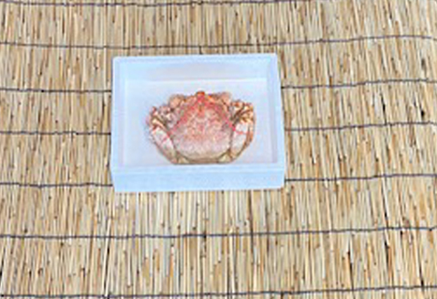 ＜12月21日決済分まで年内配送＞毛かに400g前後～550g前後×1尾 B-76007