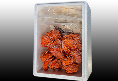 ＜12月21日決済分まで年内配送＞【北海道根室産】花咲かに400g～550g前後×2尾、たこ唐揚げ250g×2P B-76036