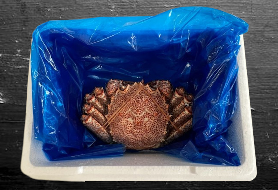 【北海道根室産】浜ゆで毛ガニ570g前後×1尾 B-83003