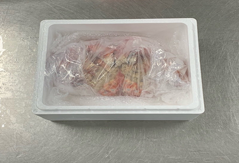 【北海道根室産】花咲ガニ800～900g×1尾 C-89003