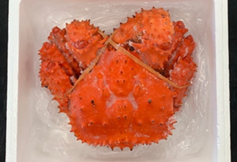 ＜12月21日決済分まで年内配送＞【北海道根室産】花咲がに姿1.2kg×1尾 C-01023
