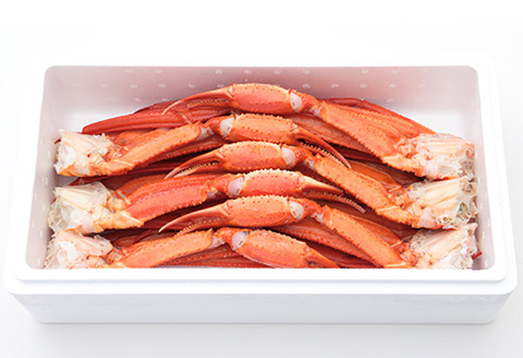 <年内配送可>トゲズワイガニの脚2kg(6～7肩前後) A-25022