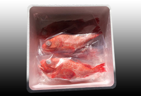 ＜12月21日決済分まで年内配送＞【北海道根室産】キチジ(キンキ・めんめ)×3～5尾(下処理済) C-36070