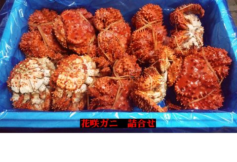 ＜12月21日決済分まで年内配送＞【北海道根室産】花咲ガニ10～12尾(計4kg) C-57006