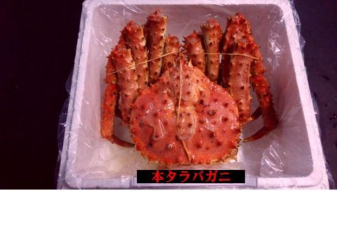 ＜12月21日決済分まで年内配送＞本タラバガニ1.0～1.2kg前後×1尾 C-57013