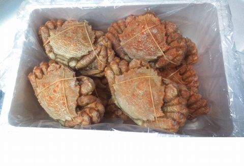 ＜12月21日決済分まで年内配送＞【北海道根室産】クリガニ10～13尾(計3kg前後) C-57015