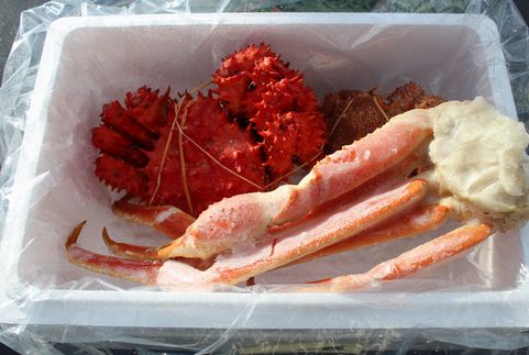 本ズワイガニ・花咲ガニ・毛ガニセット C-57025