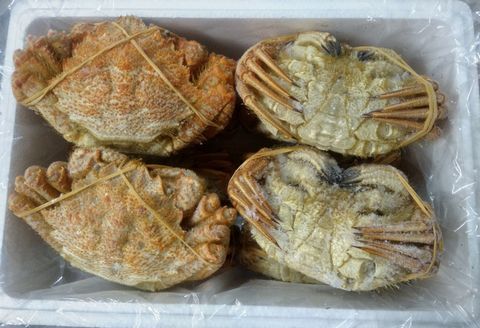 ＜12月21日決済分まで年内配送＞【北海道根室産】クリガニ200～250g×10～12尾(計2.4kg) C-57038