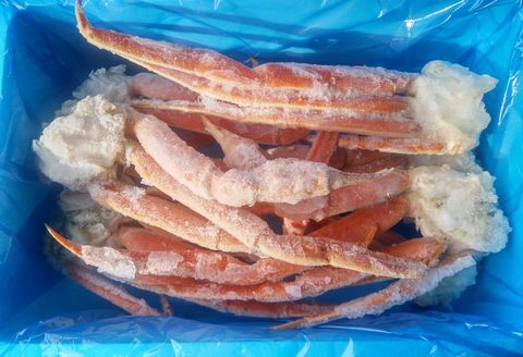 ＜12月21日決済分まで年内配送＞本ズワイガニ肩足10～14肩(計2kg) C-57041