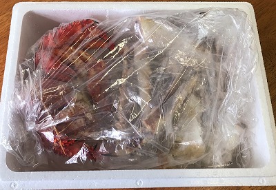 ＜12月21日決済分まで年内配送＞【北海道根室産】生冷凍たらばがに脚カット済600g・ボイル冷凍花咲ガニ1尾セット C-59002