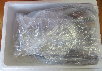 ＜12月21日決済分まで年内配送＞【北海道根室産】花咲ガニ2尾(計800g以上)、冷凍サンマ10尾 C-59007