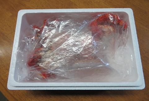 ＜12月21日決済分まで年内配送＞【北海道根室産】花咲がに、醤油イクラセット C-59020