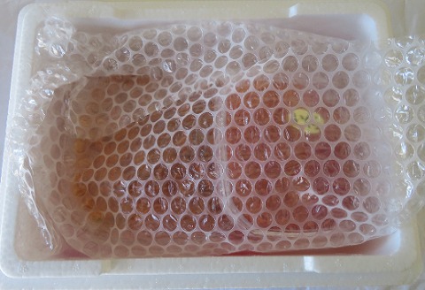 ＜12月21日決済分まで年内配送＞エゾバフンウニ塩水パック80～90g×1P、醤油いくら80g×1P C-59026