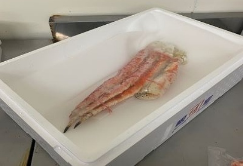 ＜12月17日決済分まで年内配送＞冷凍ボイルたらばがに脚700g～900g×1肩 C-60016