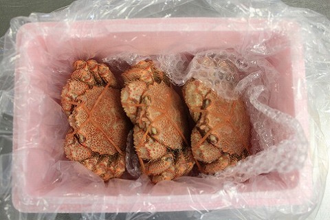 ＜12月10日決済分まで年内配送＞【北海道根室産】毛ガニ330g前後×3尾 C-66010