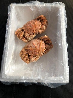 ＜12月10日決済分まで年内配送＞【北海道根室産】ボイル毛蟹450g前後×2尾 C-66013