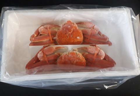 ずわい蟹600g×2尾 C-66017