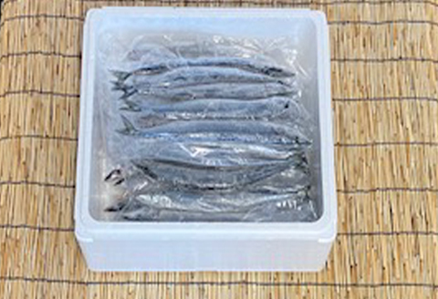 【北海道根室産】冷凍さんま5尾×8P(計40尾) C-76001