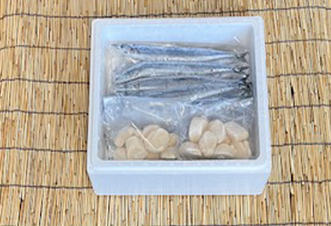 ＜12月21日決済分まで年内配送＞冷凍さんま5尾×5P、ほたて貝柱200g×2P C-76030