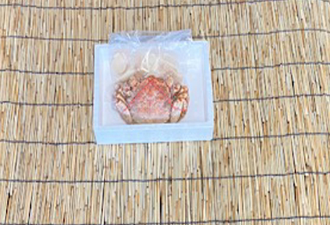 ＜12月21日決済分まで年内配送＞毛かに400g前後～550g前後×1尾・ほたて貝柱200g×1Pセット C-76034