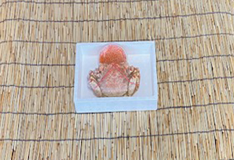 ＜12月21日決済分まで年内配送＞毛かに400g前後～550g前後×1尾・いくら醤油漬け100g×1Pセット C-76035