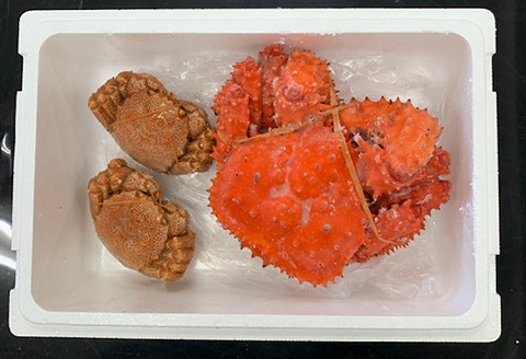 ＜12月21日決済分まで年内配送＞【北海道根室産】花咲がにと毛がに2尾 D-01017