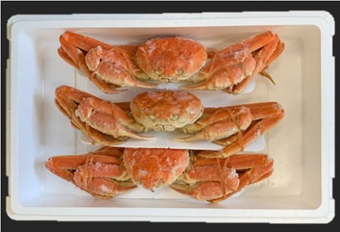 ＜12月21日決済分まで年内配送＞ずわいがに姿800g×3尾 D-01038