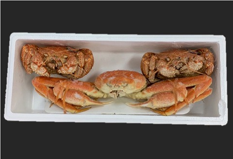 ＜12月21日決済分まで年内配送＞ずわいがに姿800g×1尾、毛がに500g×2尾 D-01039