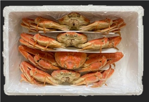 ずわいがに姿4尾(計3kg) D-01049