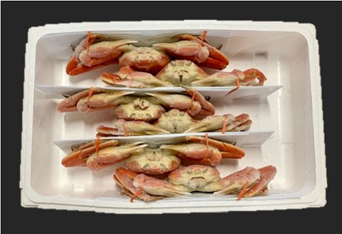 ＜12月21日決済分まで年内配送＞ボイルずわいがに姿600g×6尾 D-01053