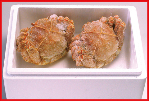 ＜12月21日決済分まで年内配送＞ボイル毛がに800g前後×2尾 D-07017