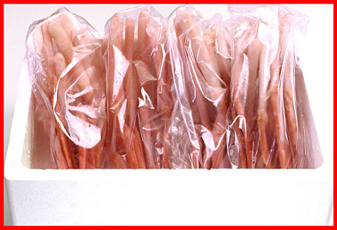 ＜12月21日決済分まで年内配送＞刺身用紅ズワイガニむき身2.4kg D-07013