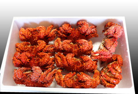 ＜12月21日決済分まで年内配送＞【北海道根室産】花咲かに400～600g×10尾 D-36007