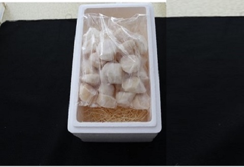 エゾバフンウニ140g×1折、お刺身ホタテ貝柱500g×1P[11月下旬以降発送] E-40019