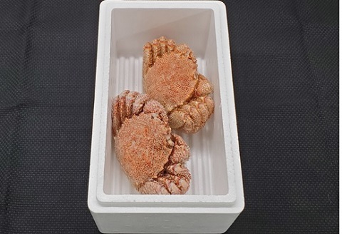 エゾバフンウニ140g×1折、毛ガニ300g前後～400g前後×2尾[11月下旬以降発送] E-40021