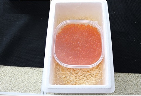 エゾバフンウニバラ詰め150g×1折、いくら醤油漬け150g×1P[11月下旬以降発送]  E-40022