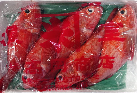 ＜12月21日決済分まで年内配送＞【北海道根室産】鮮キチジ(めんめ、キンキ) D-52001