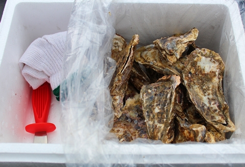 ＜12月21日決済分まで年内配送＞【北海道根室産】殻付カキ90～120g×50個 D-57027