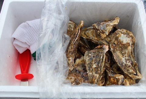 ＜12月21日決済分まで年内配送＞【北海道根室産】殻付カキ150g以上×40個 D-57028