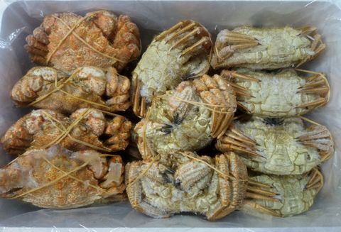 ＜12月21日決済分まで年内配送＞【北海道根室産】クリガニ200～250g×20～25尾(計5.0kg) D-57031
