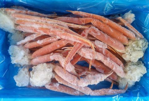 本ズワイガニ肩足20～28肩(計4kg) D-57033