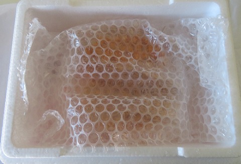 ＜12月21日決済分まで年内配送＞エゾバフンウニ塩水パック80～90g×4P D-59036