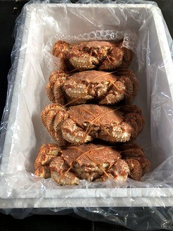 【北海道根室産】ボイル毛蟹500g前後×4尾 D-66011