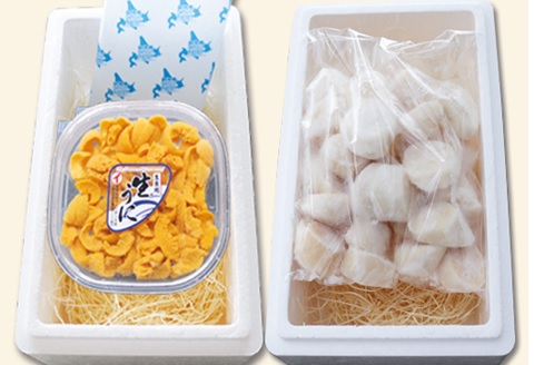 エゾバフンウニ塩水パック100g×1P、お刺身ホタテ貝柱500g×1P[11月中旬以降発送] D-71060