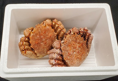 エゾバフンウニ塩水パック100g×1P、毛ガニ300g前後～400g前後×2尾[11月中旬以降発送] D-71062