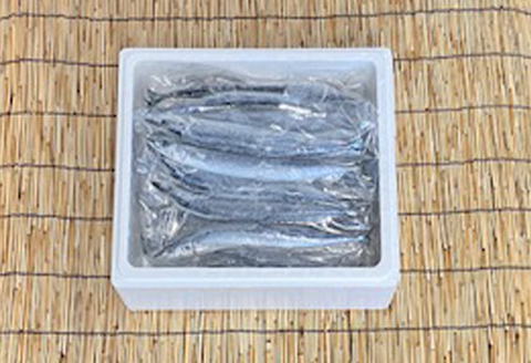 ＜12月21日決済分まで年内配送＞【北海道根室産】冷凍さんま5尾×12P(計60尾) D-76001