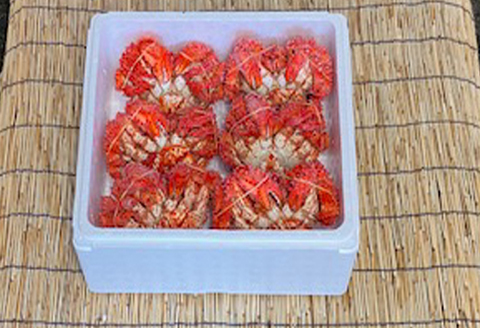 ＜12月21日決済分まで年内配送＞【北海道根室産】花咲かに500g～650g×6尾 D-76004