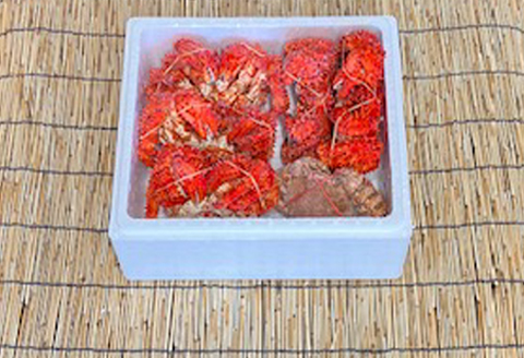 ＜12月21日決済分まで年内配送＞毛かに・花咲かにセット D-76009